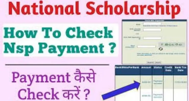 Checking NSP Scholarship Application Status, Track payment status